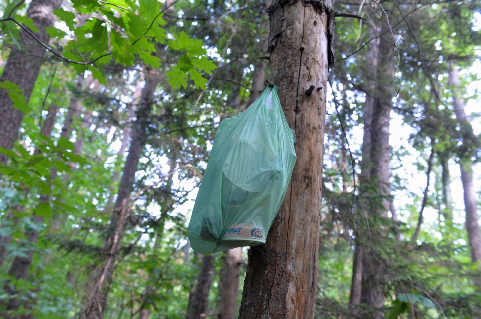 TRADATE OPERAZIONE ANTIDROGA ESEGUITA DALLA SEZIONE NARCOTICI SQUADRA MOBILE CON L�AUSILIO DEL REPARTO PREVENZIONE CRIMINE, CARABINIERI E POLIZIE LOCALI NELLA FOTO LE PROVVISTE DEGLI SPACCIATORI PER VIVERE NEL BOSCO
