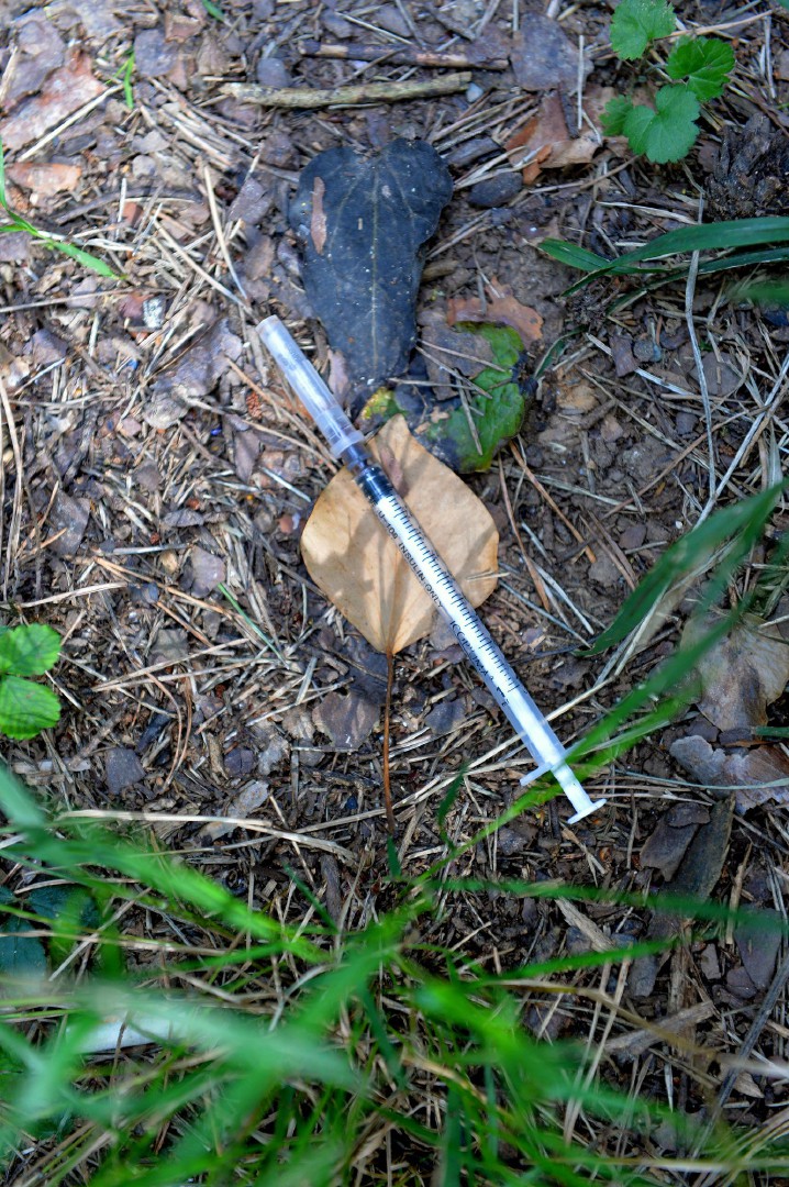 TRADATE OPERAZIONE ANTIDROGA ESEGUITA DALLA SEZIONE NARCOTICI SQUADRA MOBILE CON L�AUSILIO DEL REPARTO PREVENZIONE CRIMINE, CARABINIERI E POLIZIE LOCALI NELLA FOTO UNA SIRINGA