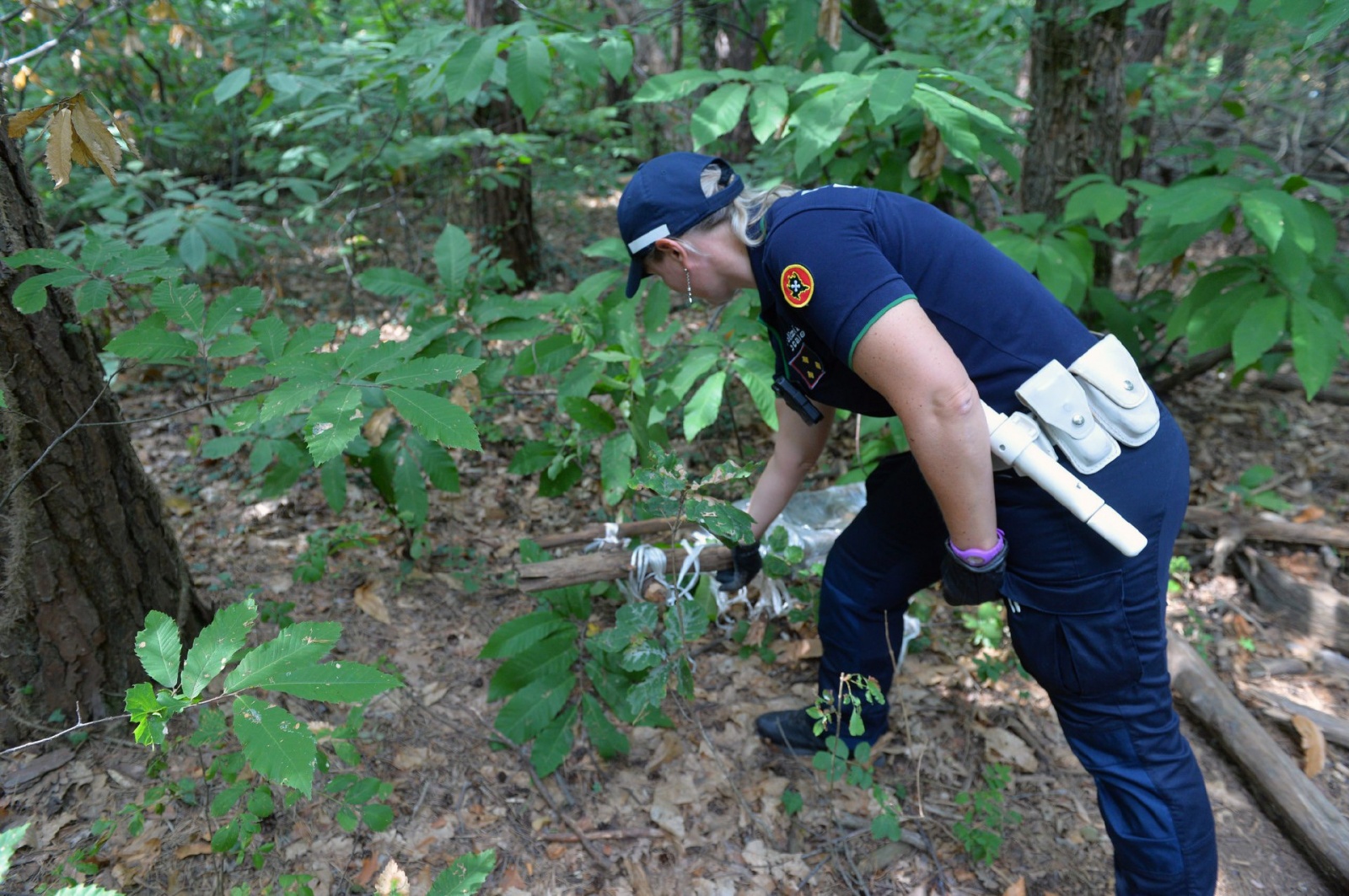 TRADATE OPERAZIONE ANTIDROGA ESEGUITA DALLA SEZIONE NARCOTICI SQUADRA MOBILE CON L�AUSILIO DEL REPARTO PREVENZIONE CRIMINE, CARABINIERI E POLIZIE LOCALI NELLA FOTO UNA SCALA RUDIMENTALE COSTRUITA DAGLI SPACCIATORI