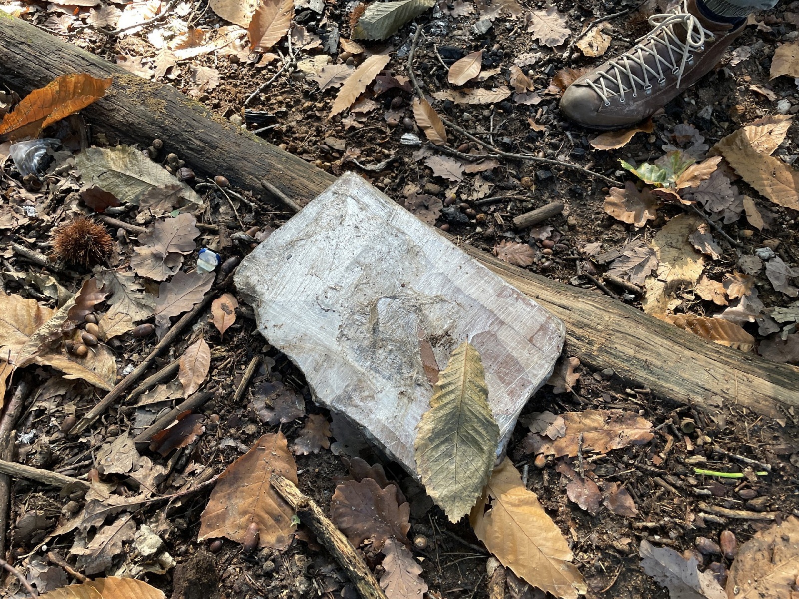 TRADATE OPERAZIONE ANTIDROGA SQUADRA MOBILE VARESE CON AUSILIO REPARTO PREVENZIONE CRIMINE MILANO E POLIZIA LOCALE