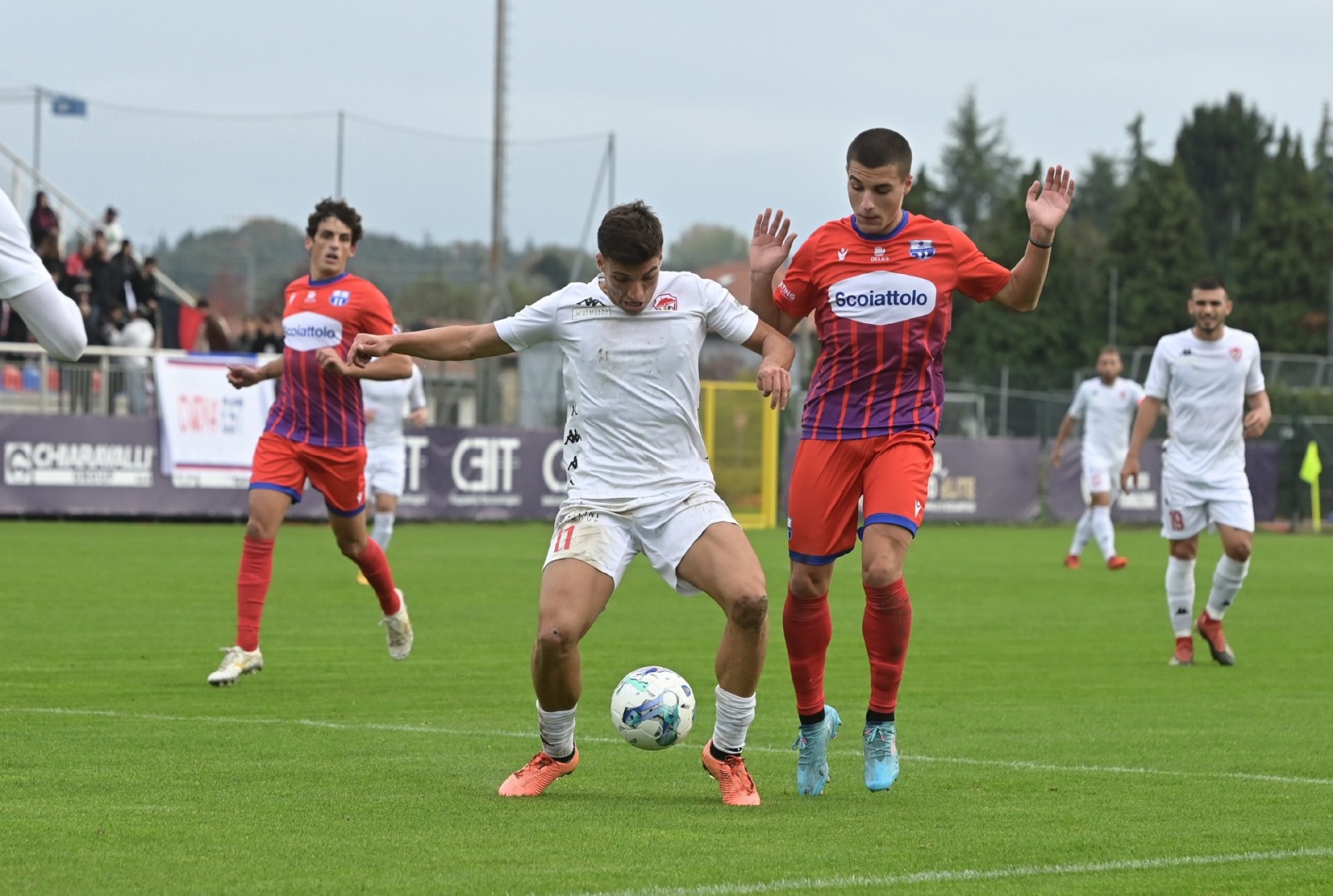 VENEGONO SUPERIORE CALCIO SERIE D COPPA ITALIA VARESINA VS. CITTA’ DI VARESE NELLA FOTO PASTORE MARCO