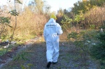 AZZATE INIZIO LAVORI BONIFICA CAMPING SETTELAGHI, A SPESE DEL NUOVO PROPRIETARIO PANZERI, CON SOPRALLUOGO CARABINIERI FORESTALI