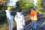 AZZATE INIZIO LAVORI BONIFICA CAMPING SETTELAGHI, A SPESE DEL NUOVO PROPRIETARIO PANZERI, CON SOPRALLUOGO CARABINIERI FORESTALI