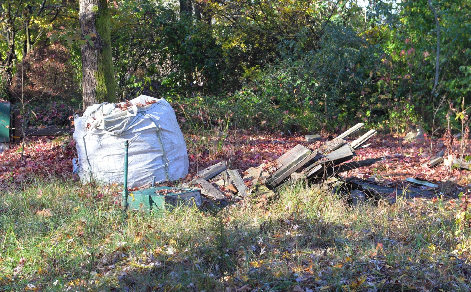 AZZATE INIZIO LAVORI BONIFICA CAMPING SETTELAGHI, A SPESE DEL NUOVO PROPRIETARIO PANZERI, CON SOPRALLUOGO CARABINIERI FORESTALI