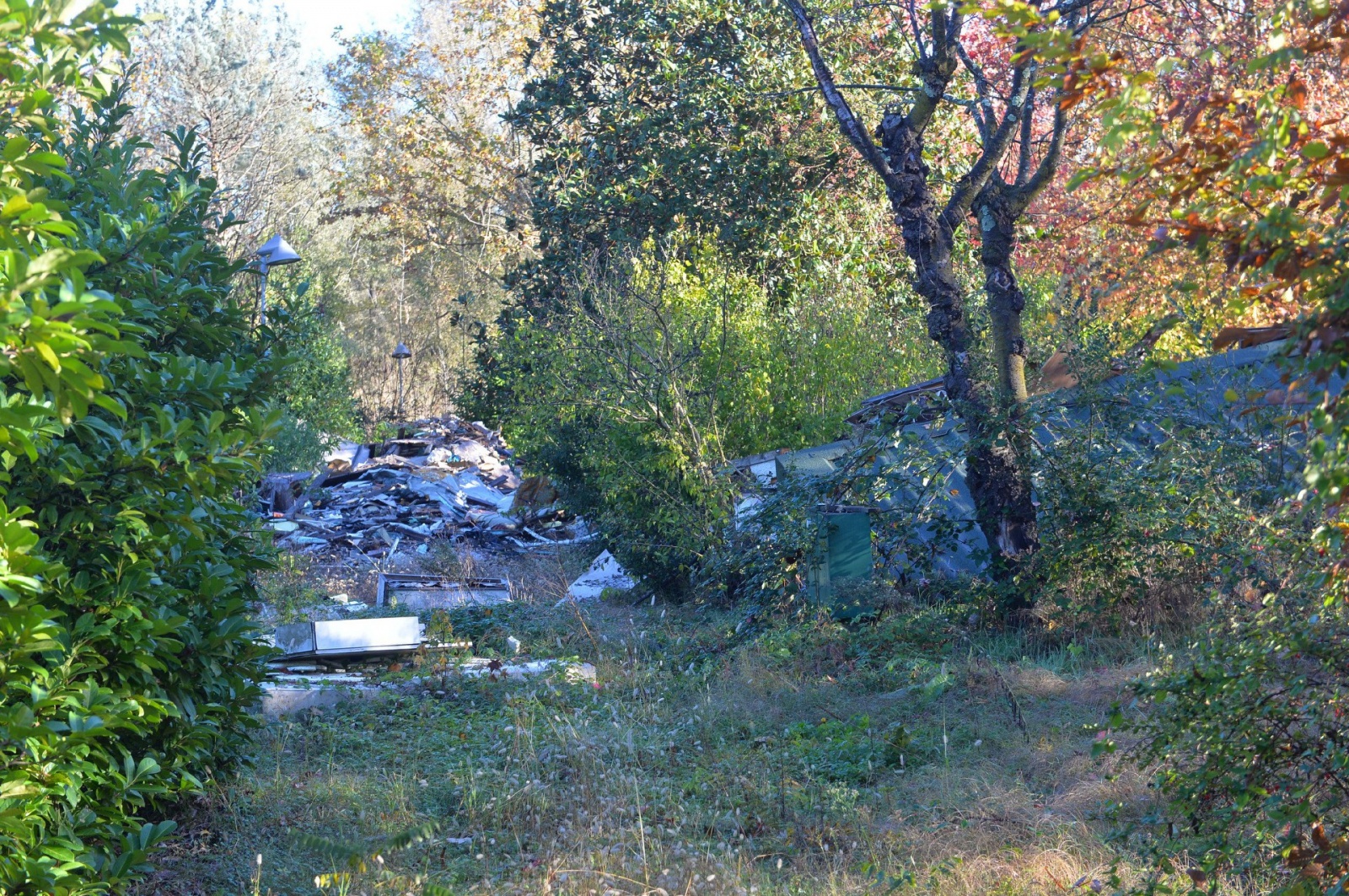 AZZATE INIZIO LAVORI BONIFICA CAMPING SETTELAGHI, A SPESE DEL NUOVO PROPRIETARIO PANZERI, CON SOPRALLUOGO CARABINIERI FORESTALI