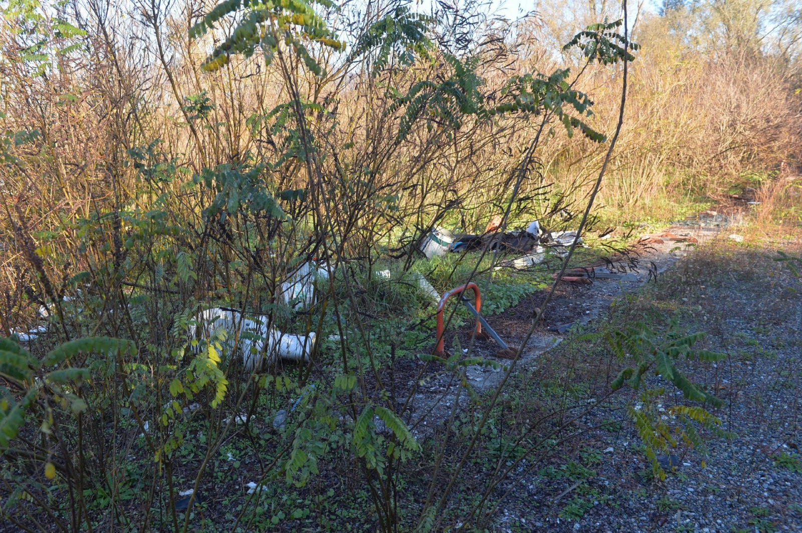AZZATE INIZIO LAVORI BONIFICA CAMPING SETTELAGHI, A SPESE DEL NUOVO PROPRIETARIO PANZERI, CON SOPRALLUOGO CARABINIERI FORESTALI