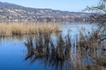 BARDELLO LAGO DI VARESE BASSO AL CANNETO / CHIUSE DEL FIUME BARDELLO PER SICCITA’