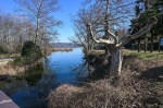 BARDELLO LAGO DI VARESE BASSO AL CANNETO / CHIUSE DEL FIUME BARDELLO PER SICCITA’