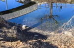 BARDELLO LAGO DI VARESE BASSO AL CANNETO / CHIUSE DEL FIUME BARDELLO PER SICCITA’