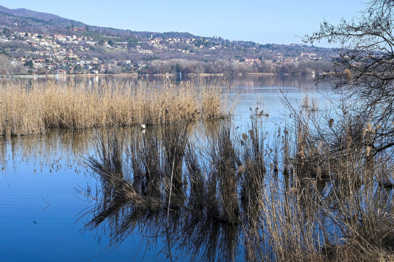 BARDELLO LAGO DI VARESE BASSO AL CANNETO / CHIUSE DEL FIUME BARDELLO PER SICCITA’