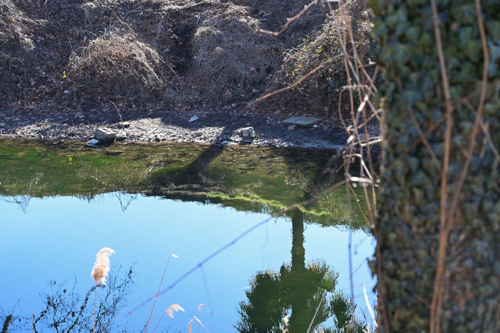 BARDELLO LAGO DI VARESE BASSO AL CANNETO / CHIUSE DEL FIUME BARDELLO PER SICCITA’