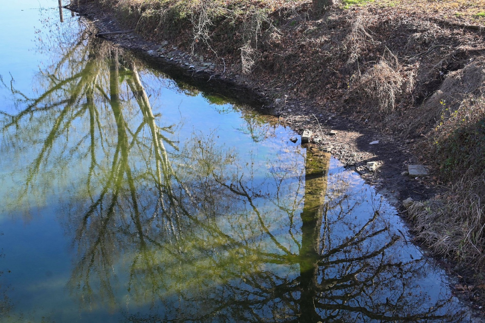 BARDELLO LAGO DI VARESE BASSO AL CANNETO / CHIUSE DEL FIUME BARDELLO PER SICCITA’