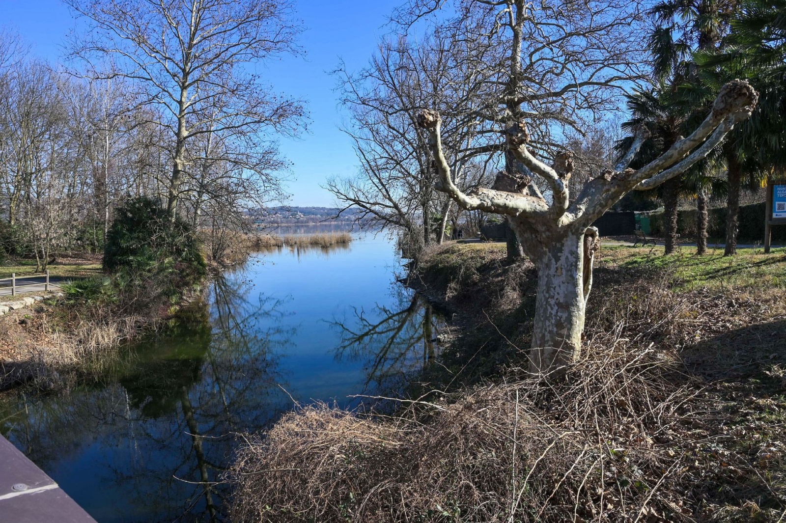 BARDELLO LAGO DI VARESE BASSO AL CANNETO / CHIUSE DEL FIUME BARDELLO PER SICCITA’