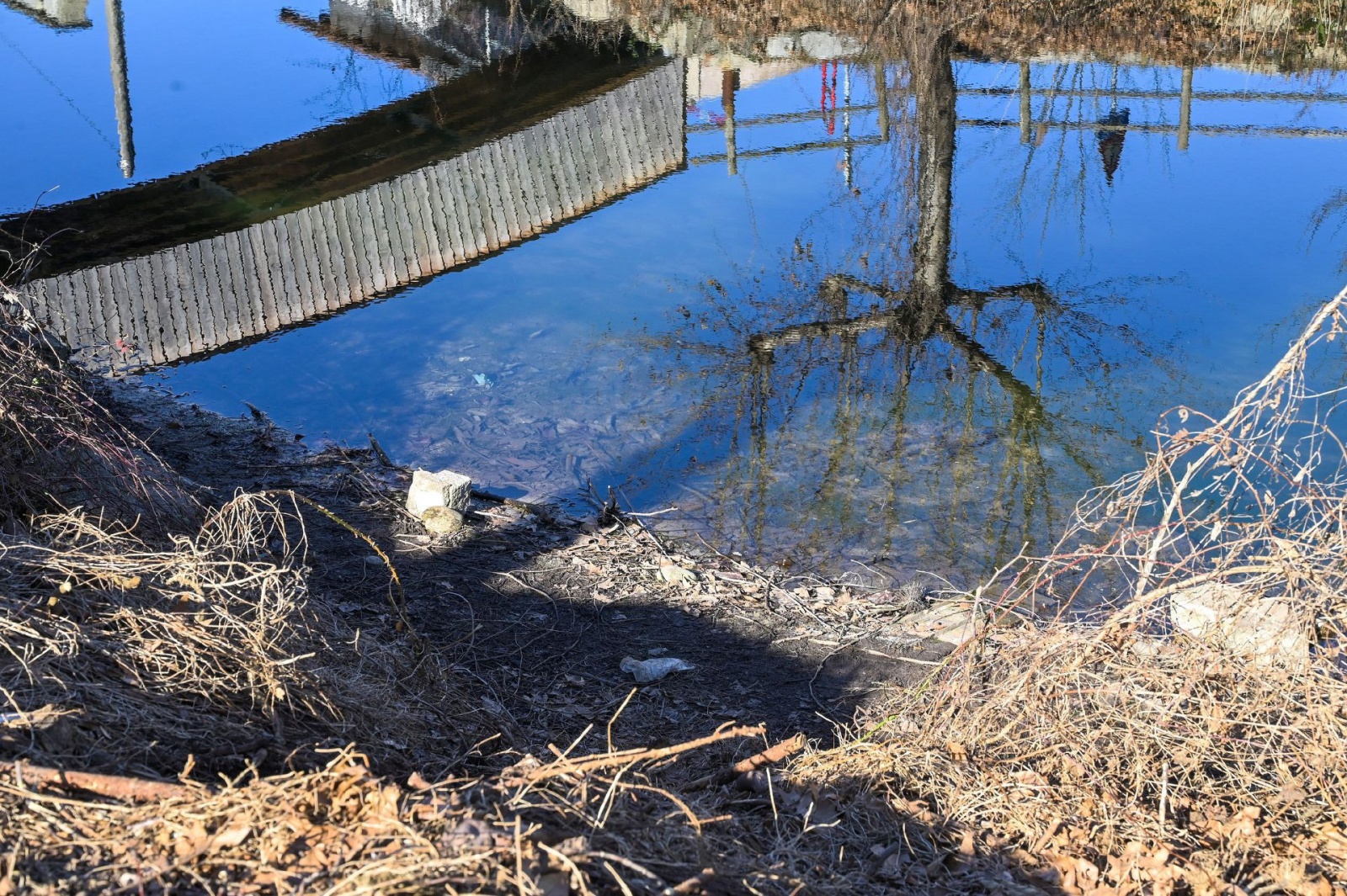 BARDELLO LAGO DI VARESE BASSO AL CANNETO / CHIUSE DEL FIUME BARDELLO PER SICCITA’