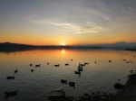 Siccità Lago di Varese