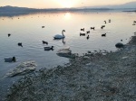 Siccità Lago di Varese