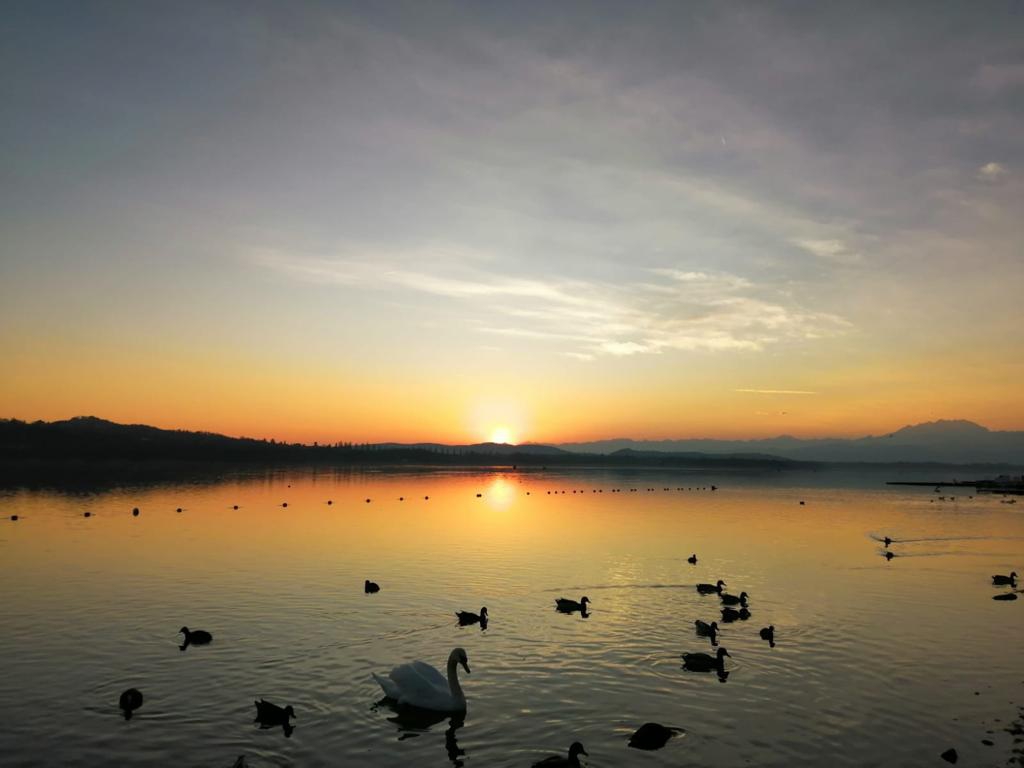 Siccità Lago di Varese