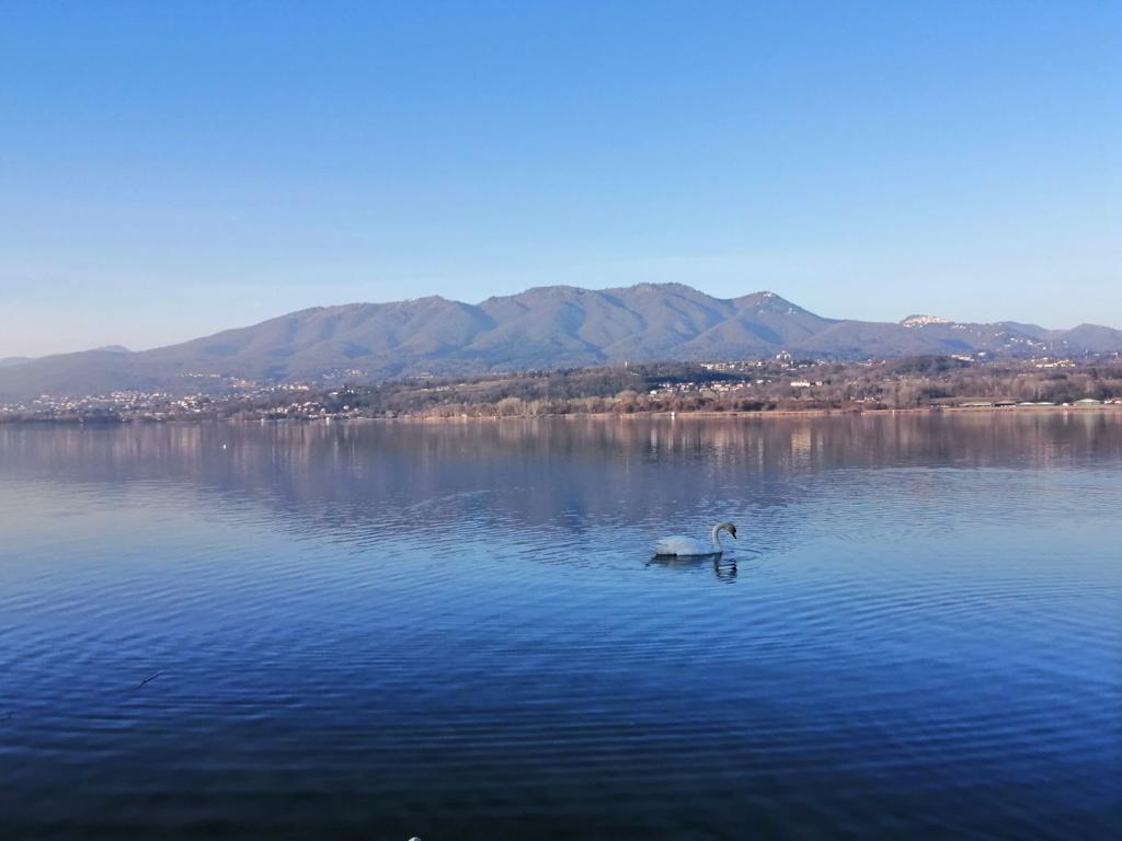 Siccità Lago di Varese