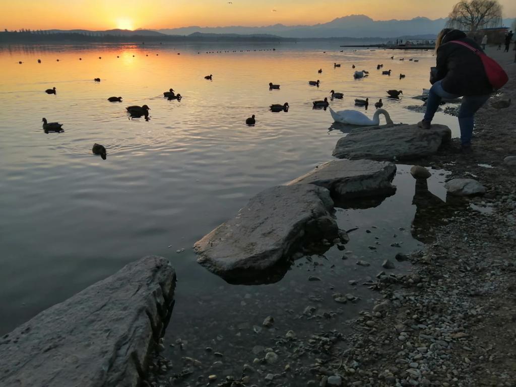 Siccità Lago di Varese