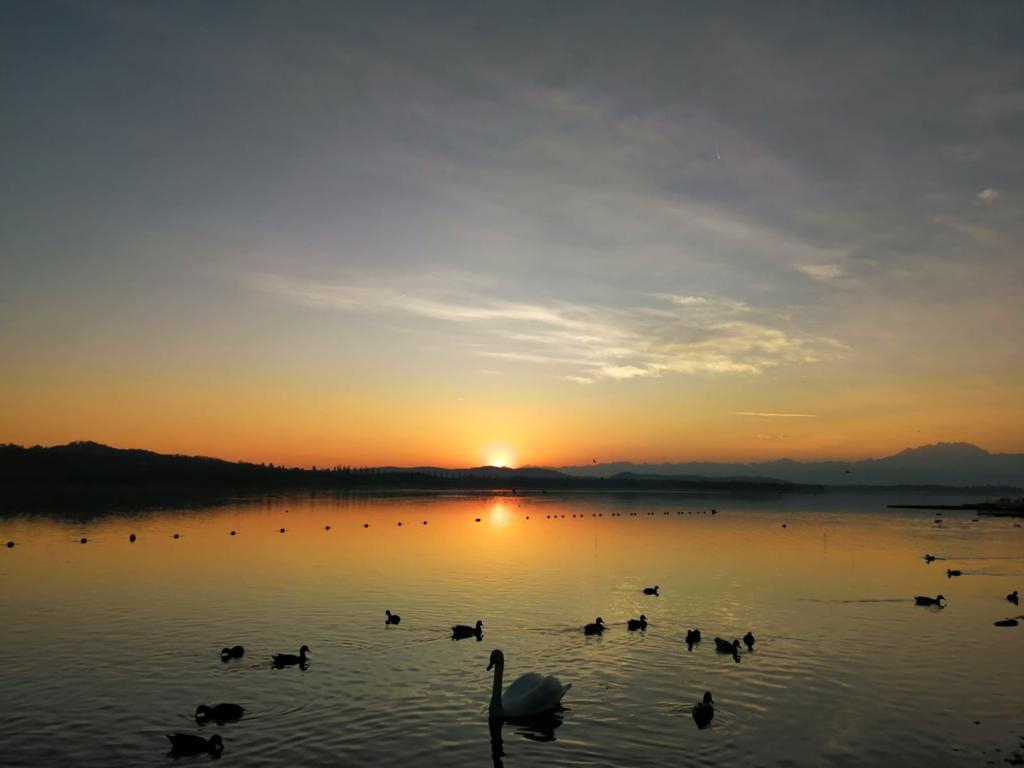 Siccità Lago di Varese