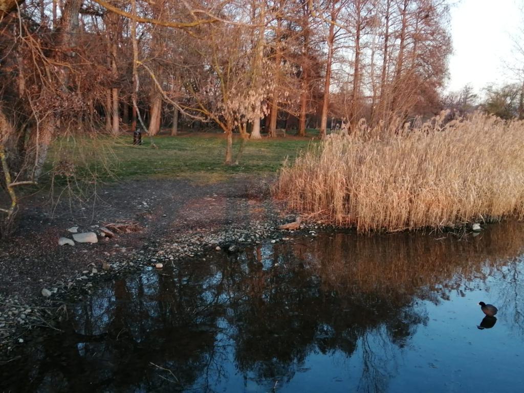 Siccità Lago di Varese