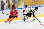 HCMV MASTINI VARESE HOCKEY - PERGINE PLAY OFF NELLA FOTO BERTIN ALEX, CORDIANO TOMMASO FABRIZIO