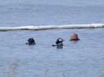 SESTO CALENDE. OPERAZIONE RECUPERO BARCA AFFONDATA IN LOCALITAÕ LISANZA NELLA FOTO SOPRALLUOGO PROCURATORE NOCERINO, COLONNELLO PIASENTIN E CAPITANO CONVERTINO