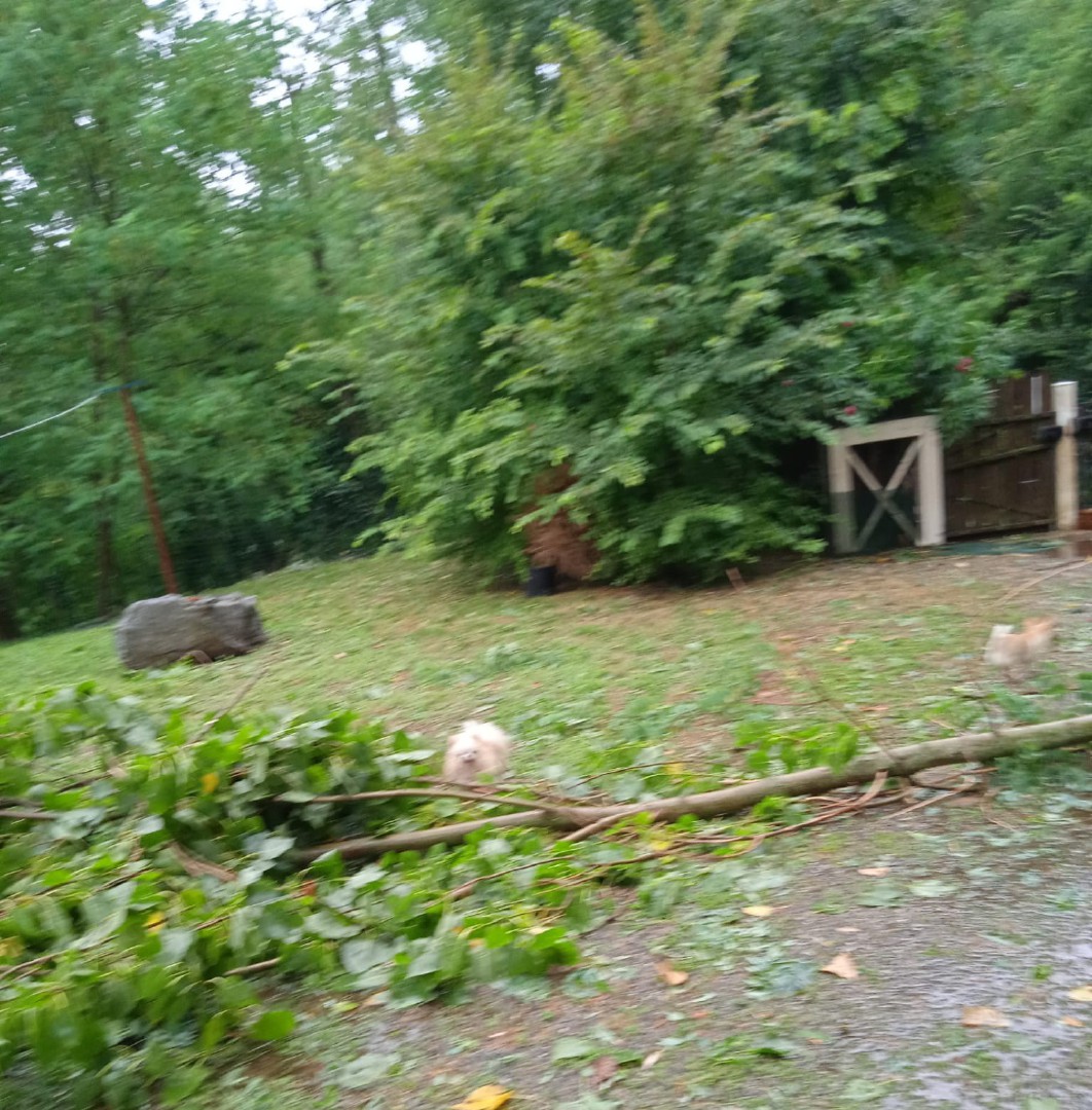 GN4_DAT_37501191.jpg
