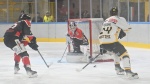 VARESE. HOCKEY IHL. SEMIFINALE CAMPIONATO GARA 2. HCMV VARESE-KALTERN CALDARO EISHOCKEY NELLA FOTO PERINO