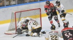 VARESE. HOCKEY IHL. SEMIFINALE CAMPIONATO GARA 2. HCMV VARESE-KALTERN CALDARO EISHOCKEY NELLA FOTO OHANDZHANYAN