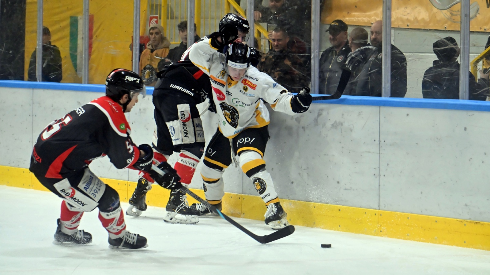 VARESE. HOCKEY IHL. SEMIFINALE CAMPIONATO GARA 2. HCMV VARESE-KALTERN CALDARO EISHOCKEY NELLA FOTO