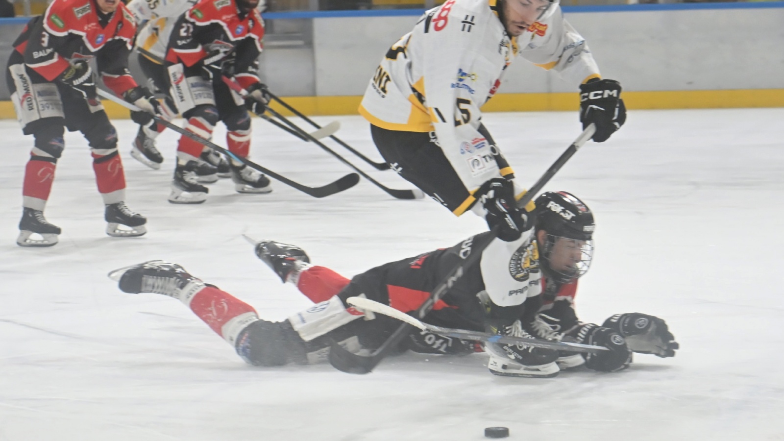 VARESE. HOCKEY IHL. SEMIFINALE CAMPIONATO GARA 2. HCMV VARESE-KALTERN CALDARO EISHOCKEY NELLA FOTO TILARO