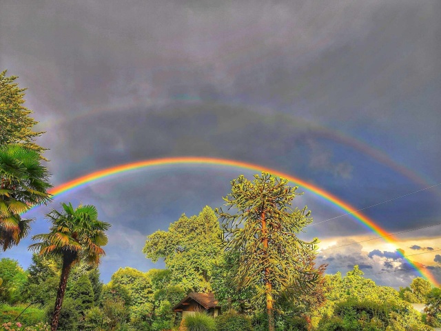 Una magia colorata