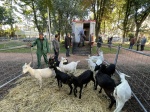 BUSTO ARSIZIO INAUGURAZIONE E STAND AGRIVARESE 2025 A BUSTO ARSIZIO