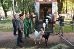 BUSTO ARSIZIO INAUGURAZIONE E STAND AGRIVARESE 2025 A BUSTO ARSIZIO