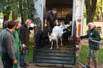BUSTO ARSIZIO INAUGURAZIONE E STAND AGRIVARESE 2025 A BUSTO ARSIZIO