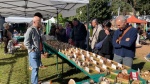 BUSTO ARSIZIO INAUGURAZIONE E STAND AGRIVARESE 2025 A BUSTO ARSIZIO