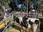 BUSTO ARSIZIO INAUGURAZIONE E STAND AGRIVARESE 2025 A BUSTO ARSIZIO