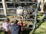 BUSTO ARSIZIO INAUGURAZIONE E STAND AGRIVARESE 2025 A BUSTO ARSIZIO