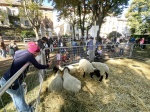 BUSTO ARSIZIO INAUGURAZIONE E STAND AGRIVARESE 2025 A BUSTO ARSIZIO