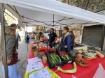 BUSTO ARSIZIO INAUGURAZIONE E STAND AGRIVARESE 2025 A BUSTO ARSIZIO