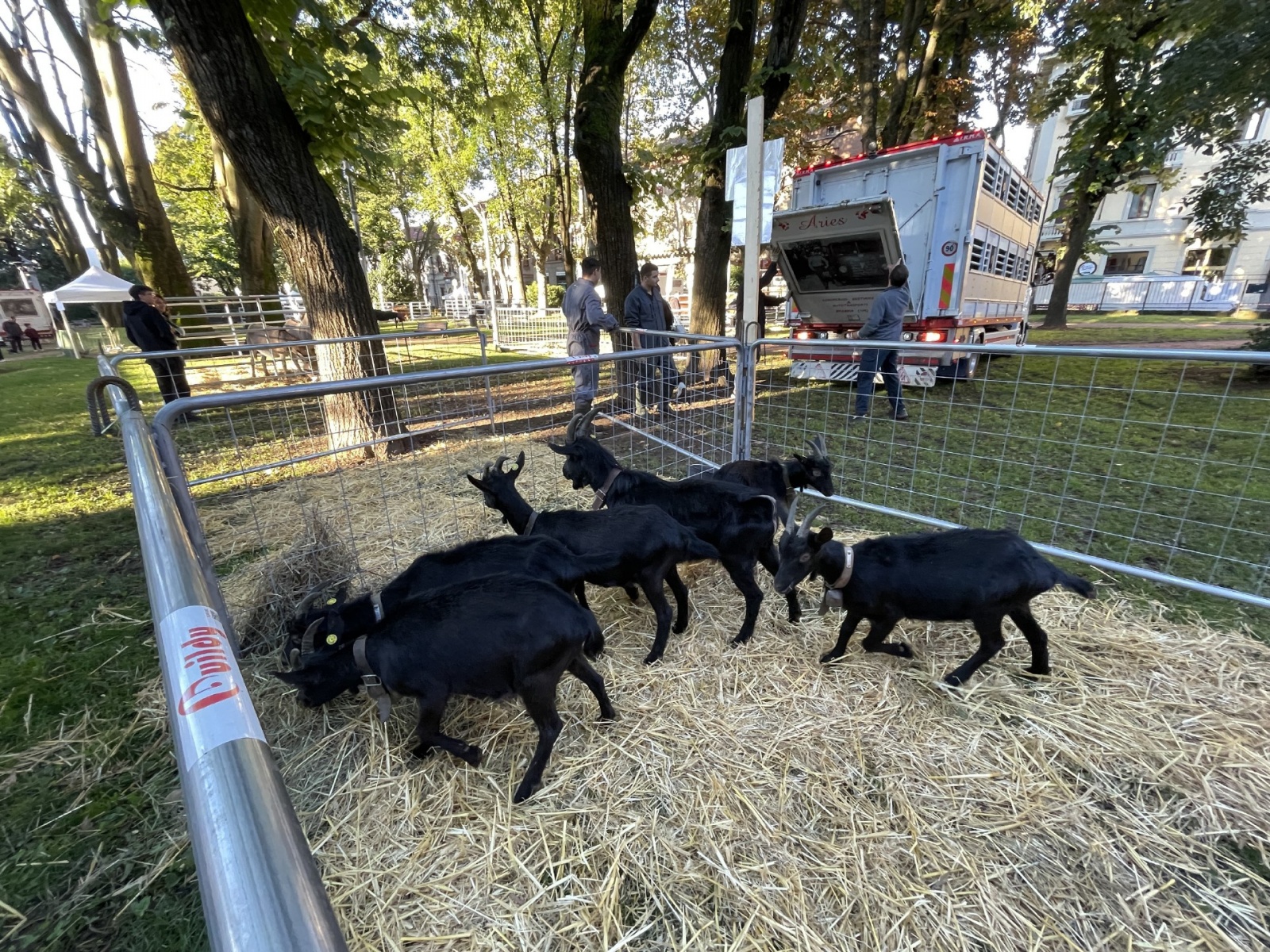 BUSTO ARSIZIO INAUGURAZIONE E STAND AGRIVARESE 2025 A BUSTO ARSIZIO