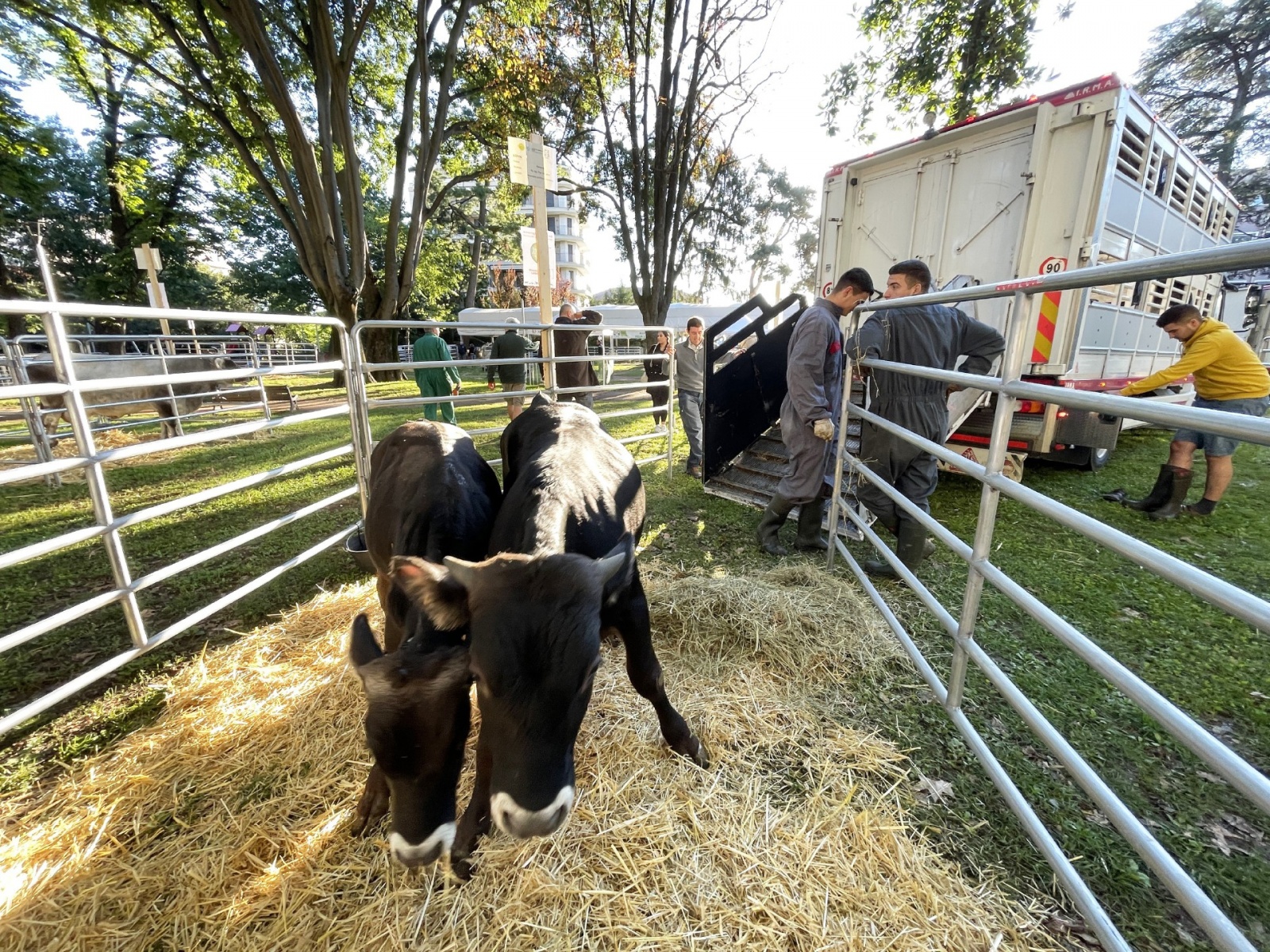 BUSTO ARSIZIO INAUGURAZIONE E STAND AGRIVARESE 2025 A BUSTO ARSIZIO