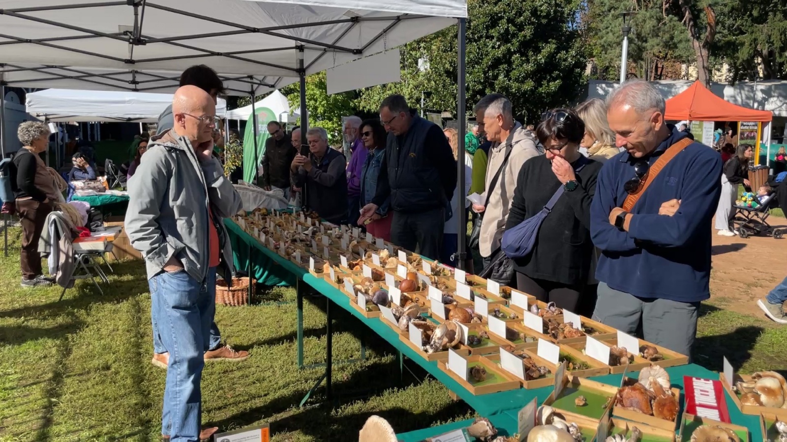 BUSTO ARSIZIO INAUGURAZIONE E STAND AGRIVARESE 2025 A BUSTO ARSIZIO