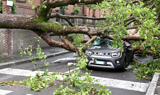 Un’auto distrutta da un albero caduto a Legnano (foto Archivio)