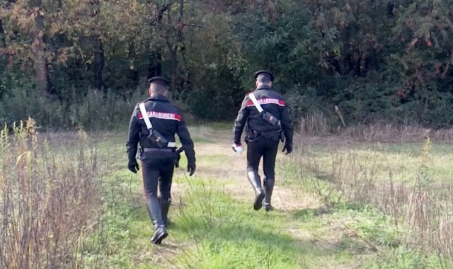 I carabinieri hanno sorpreso i due giovani nel bosco (foto Archivio)