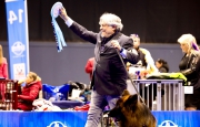 Da Brusimpiano a Zagabria: Pesko trionfa al campionato cinofilo mondiale