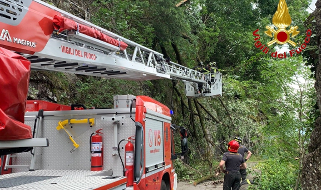 Pianta crolla sulla strada a Luino