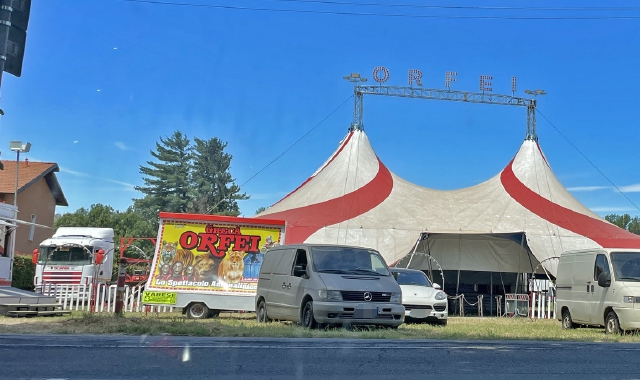 L’area privata di via Macchi dove c’è il circo. Il veterinario della Schiranna: «Quel prato non è adatto a ospitare un circo» (foto Blitz)