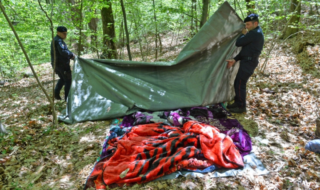 I carabinieri nei boschi della Valganna (foto Archivio)